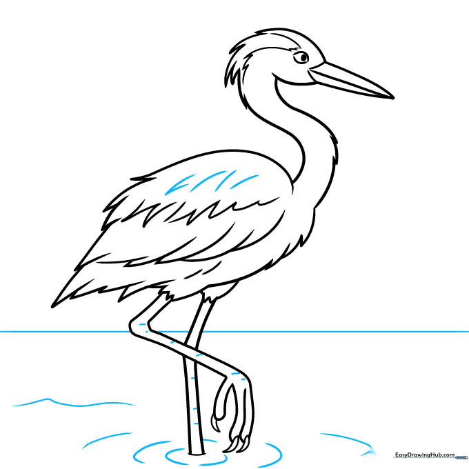 A horizon line and water ripples added to the heron drawing.