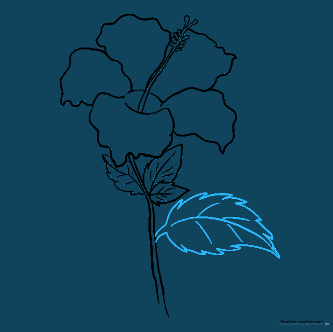 A second jagged leaf added to the hibiscus stem.
