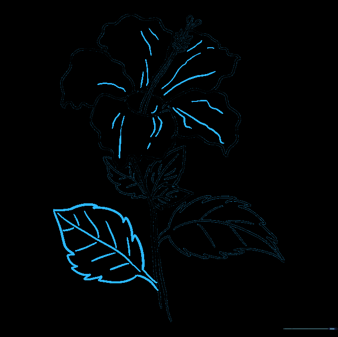 The completed hibiscus line art with added petal texture lines.