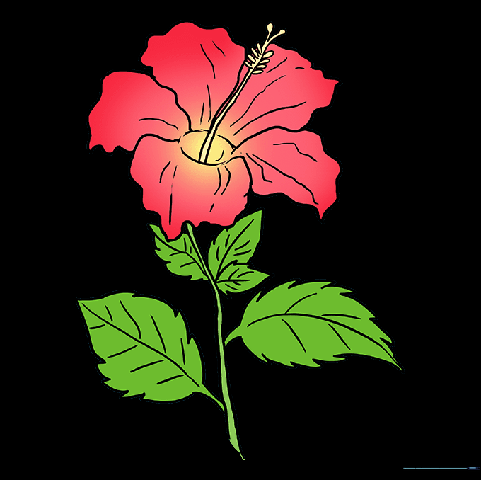 A fully colored, vibrant hibiscus flower drawing.