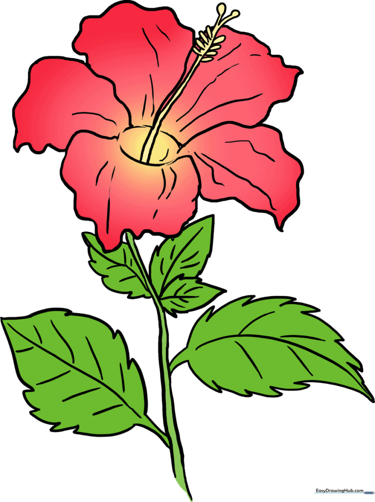 A vibrant, finished hibiscus flower drawing, showcasing the final result of the tutorial.