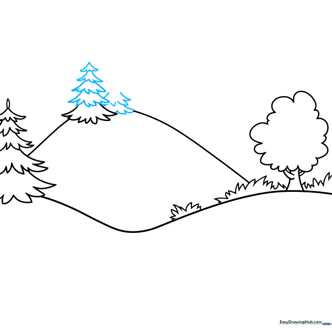 Drawing showing two overlapping evergreen trees on a hill.