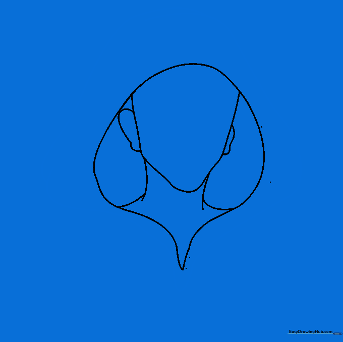 The outer edge of the hood is drawn with parallel lines and the inner head lines are erased.