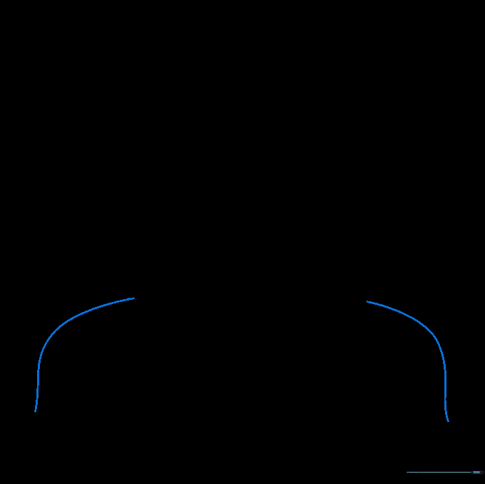 Shoulder lines added to the drawing to complete the upper body silhouette.