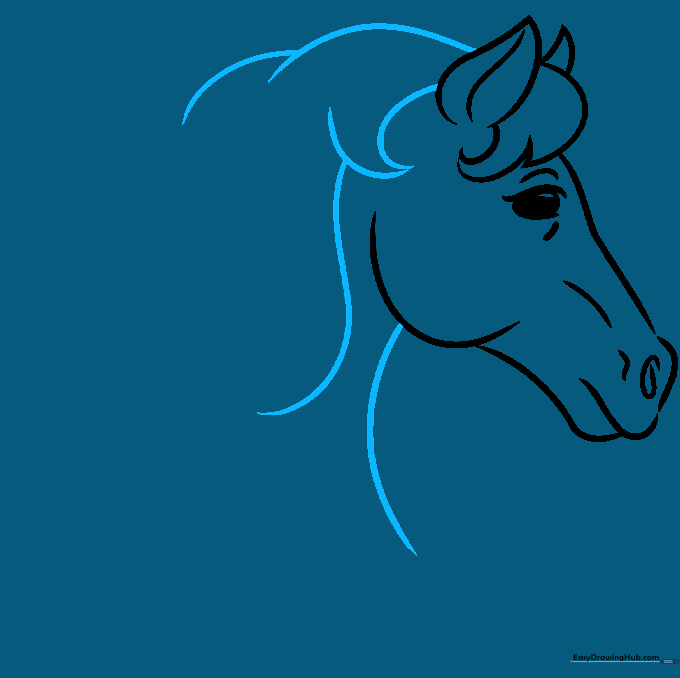 Pencil sketch extending the neck and adding more volume to the mane.