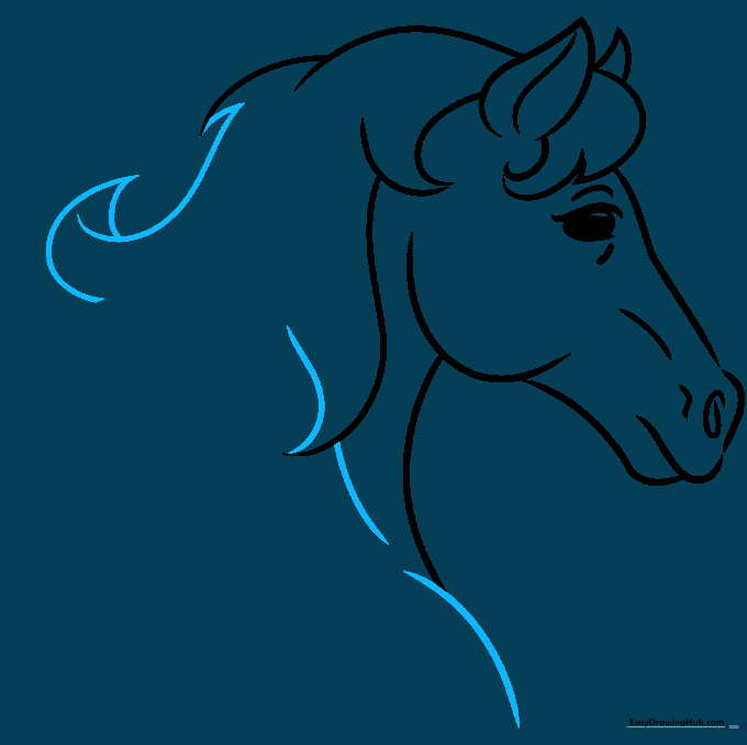 Pencil sketch showing the shoulder contour and additional mane layers.
