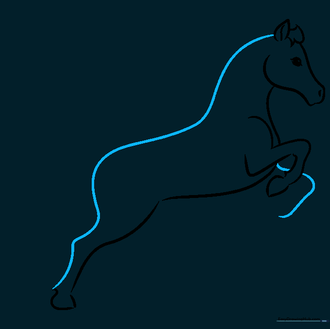 Connecting the horse's head to the back with a long, smooth curved line.