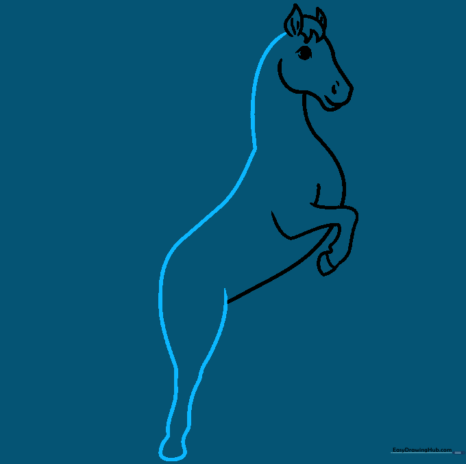 Outlining the horse's back and the rear leg structure.