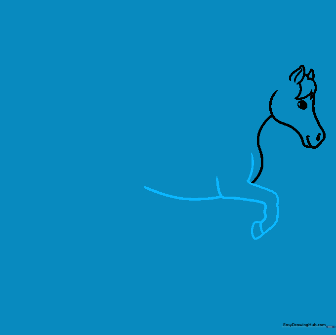 Drawing the upper structure of the horse's front legs.