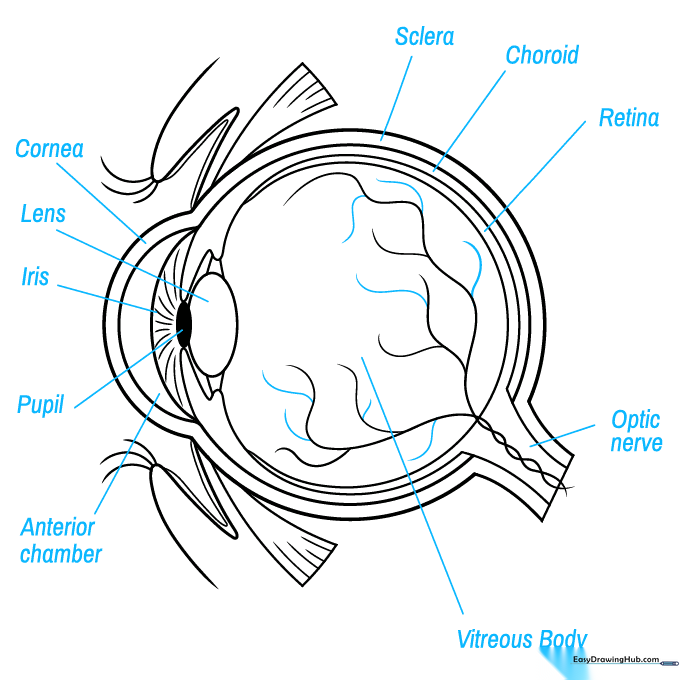 Adding professional labels to the eye diagram using straight lines for clarity.