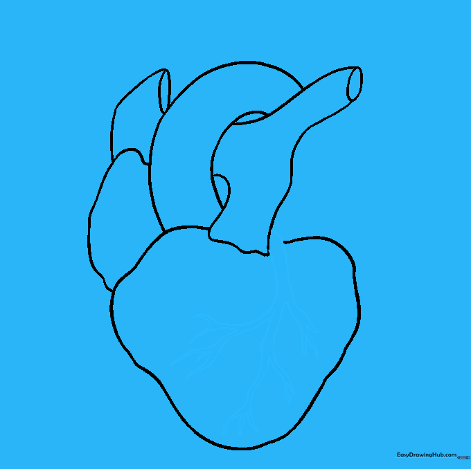 Adding branching coronary artery details to the surface of the heart.