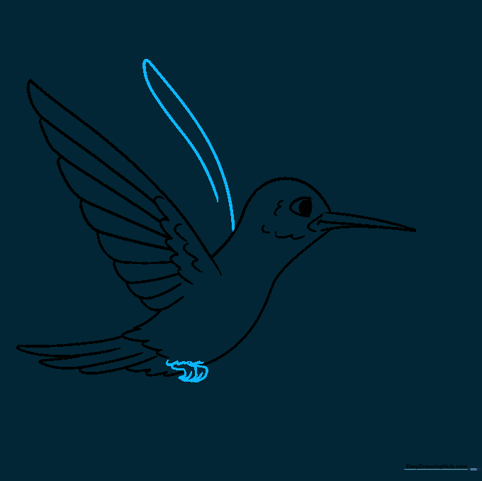 Detailed view of the hummingbird's tiny feet and the start of the second wing.