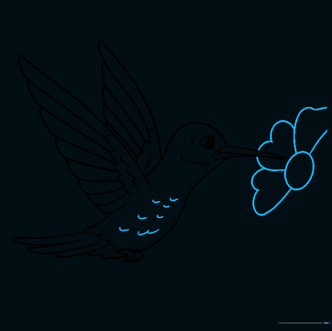 Hummingbird with added body texture and the first flower sketch.