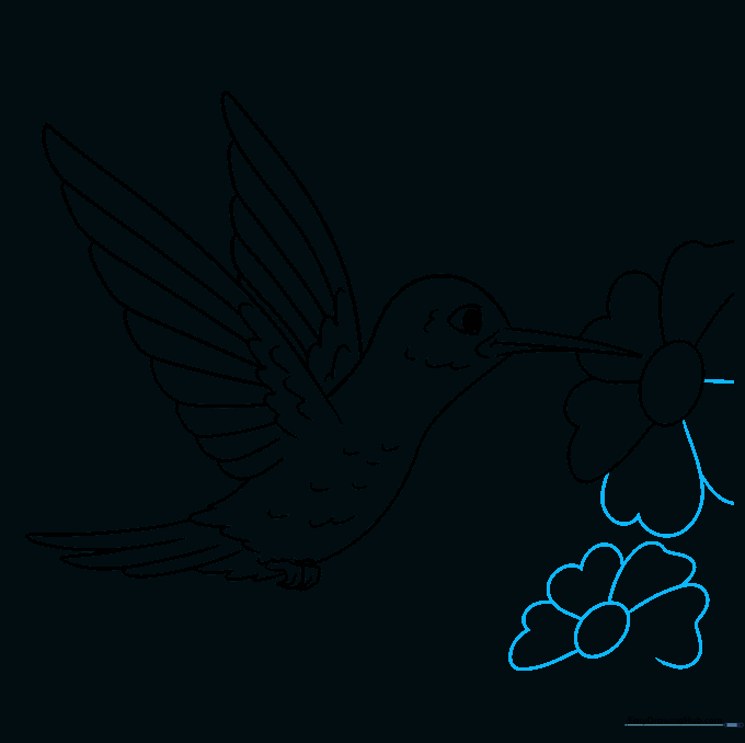 Two flowers added to the composition near the hummingbird.