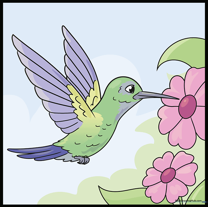 Final colored hummingbird drawing with vibrant green and red details.