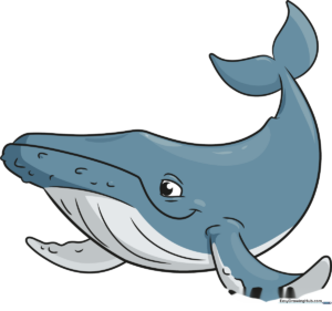 A friendly, finished cartoon humpback whale illustration, perfect for kids to use as a reference.