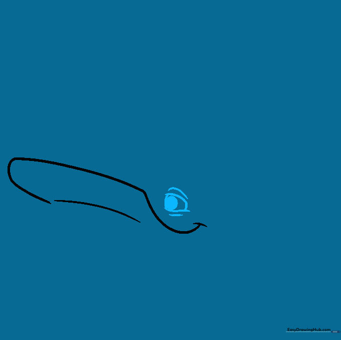 Close-up sketch of the whale's eye with a defined pupil and eyelid details.