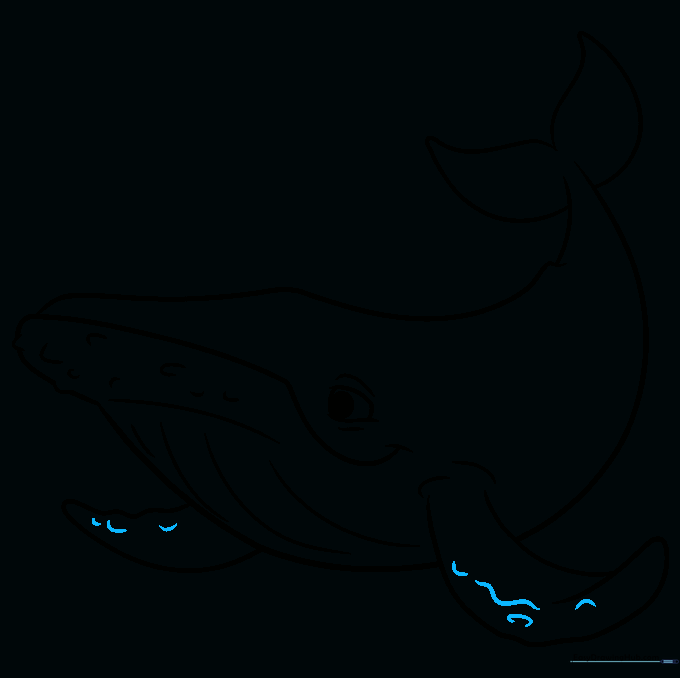Sketch showing added texture lines on the whale's flippers.