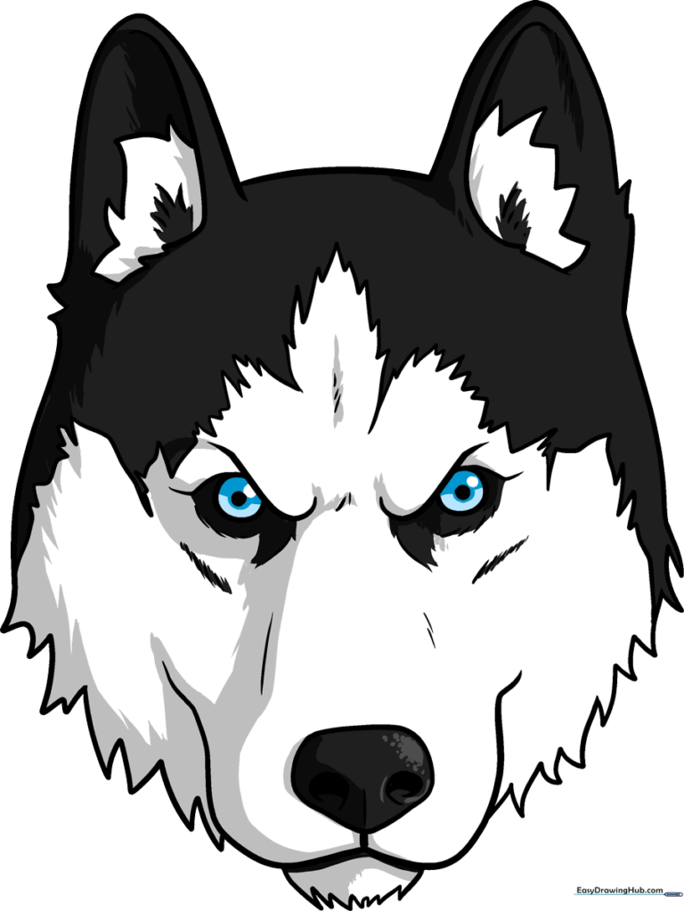 A vibrant, completed drawing of a husky face, showcasing the final result of the tutorial.