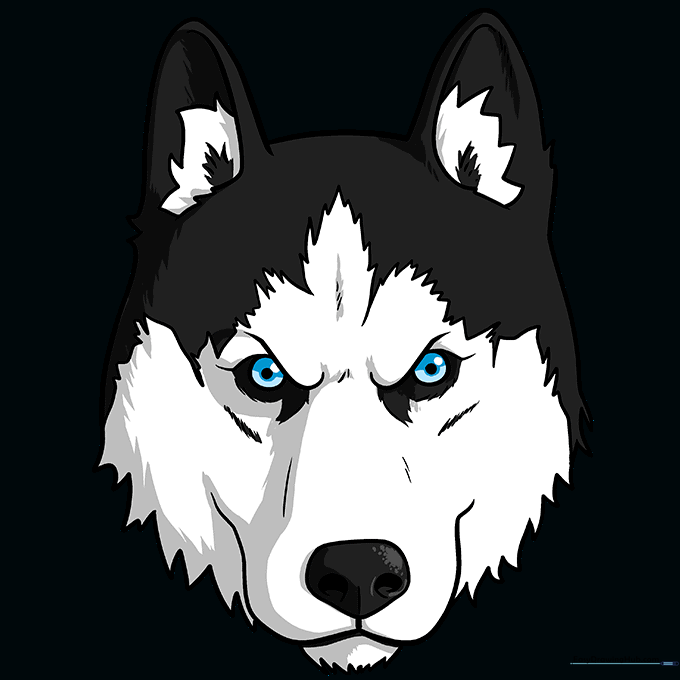 A fully colored, cartoon-style husky face with blue eyes and black and white fur.