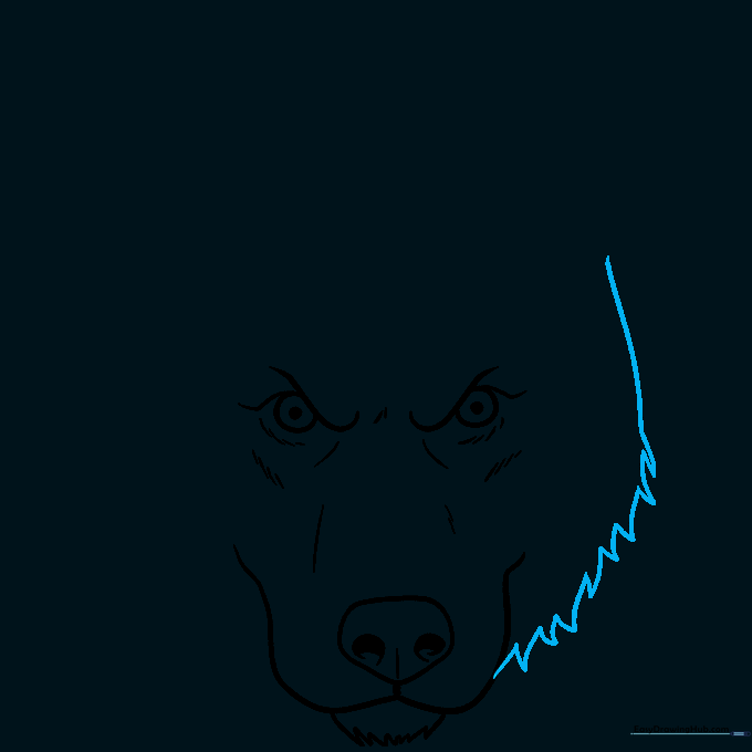 Drawing the left side of a husky face with jagged fur outlines.