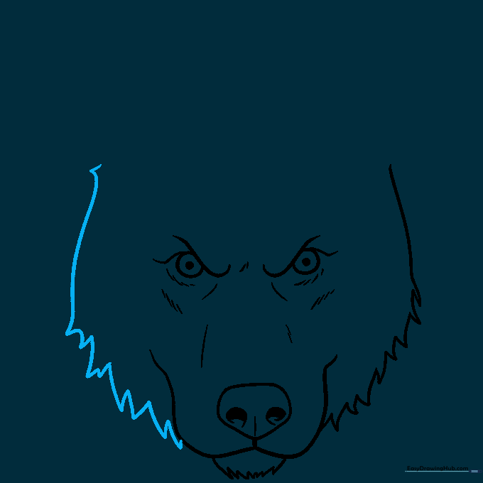 Drawing the right side of a husky face to match the left side.