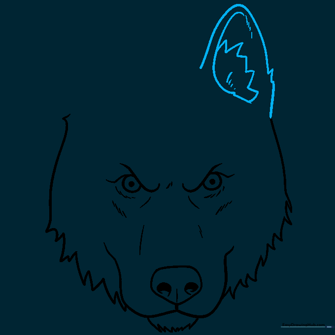 Sketching a tall, triangular husky ear with internal fur details.