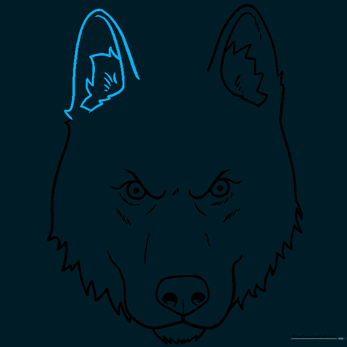 Adding the second triangular ear to the husky face drawing.