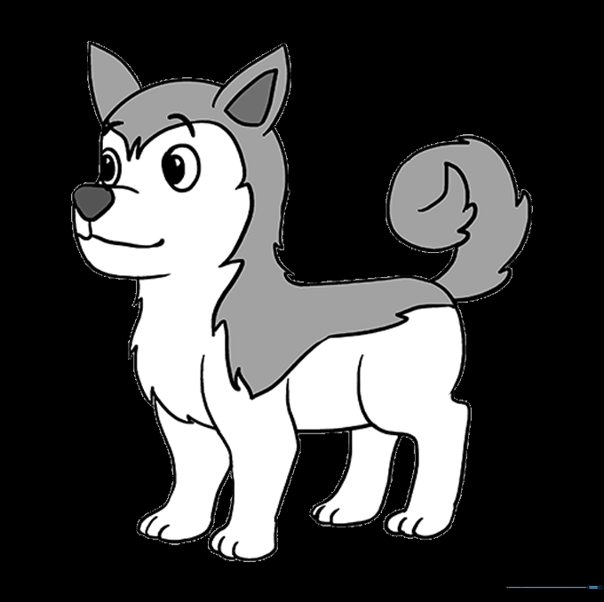 A fully colored husky drawing with grey and white fur patterns.