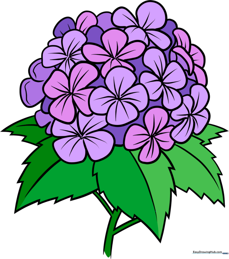 Vibrant, completed drawing of a hydrangea flower with green leaves