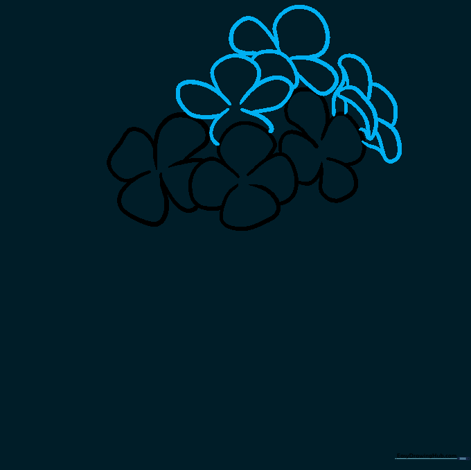 Drawing additional hydrangea petals from a side perspective