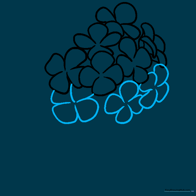 Adding more overlapping petal shapes to form the hydrangea head