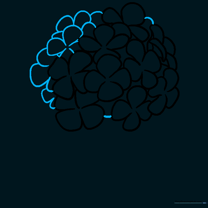 Completed circular outline of the hydrangea flower head