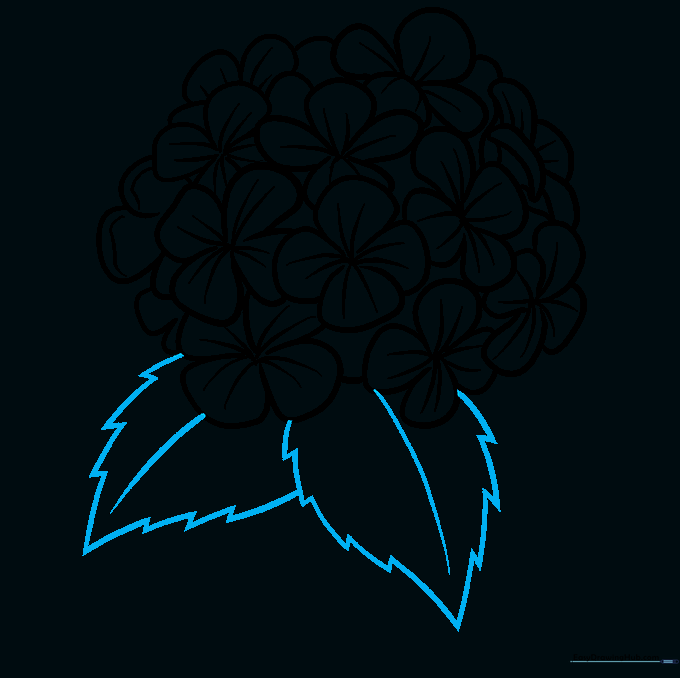 Sketching large, jagged-edged leaves attached to the flower base