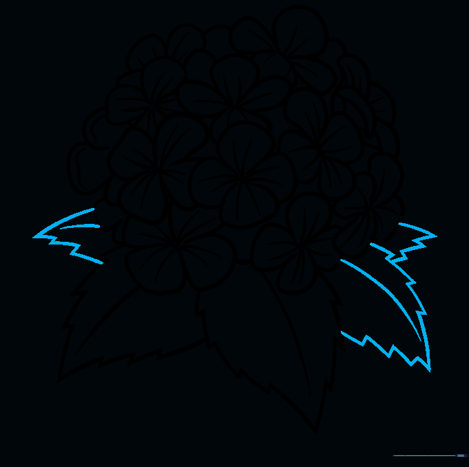 Adding additional leaves to the base of the hydrangea drawing