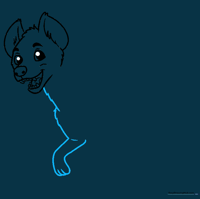 Drawing the neck, chest, and first front leg of the hyena.