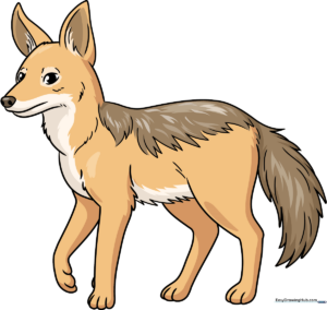 Colorful illustration of a friendly cartoon jackal standing in the savanna.