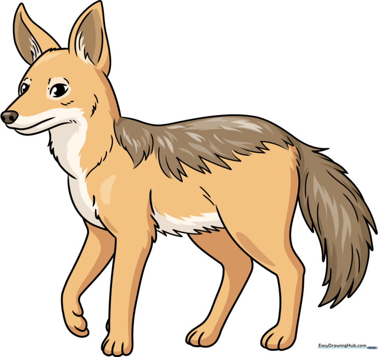 Colorful illustration of a friendly cartoon jackal standing in the savanna.