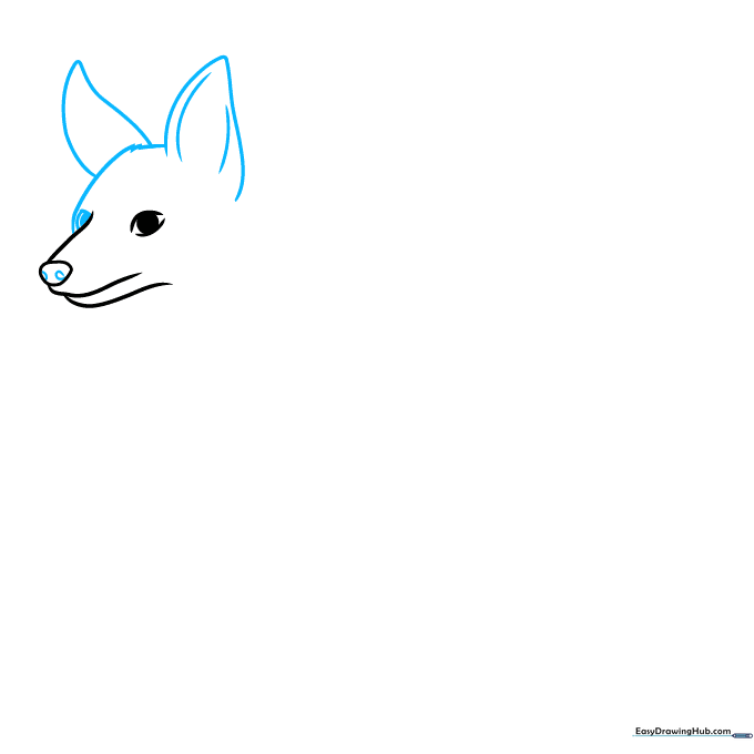 Drawing the jackal's ears and eyes with jagged lines for fur texture.