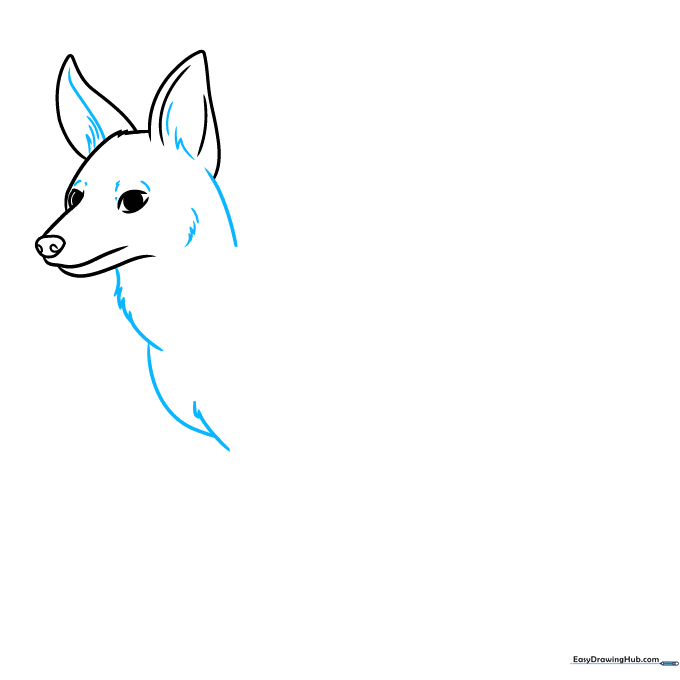 Outlining the jackal's neck and chest area using textured fur lines.