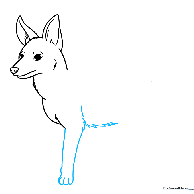 Adding the front leg and paw to the jackal's body outline.