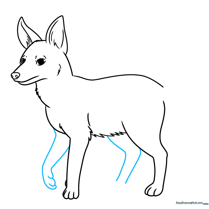 Adding the far-side legs to complete the jackal's stance.