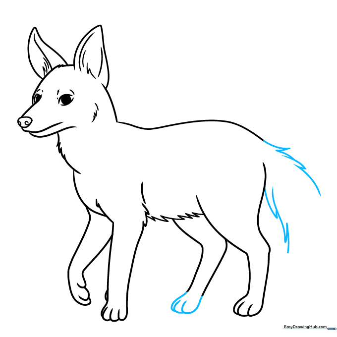 Sketching the large, bushy tail using jagged fur lines.