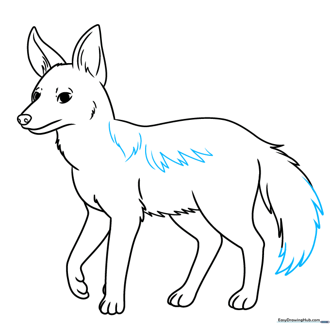 Adding the dark back markings to the jackal's fur.