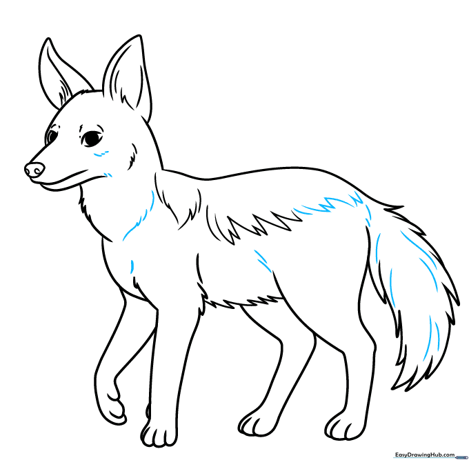 Adding final fur texture lines to the completed jackal sketch.