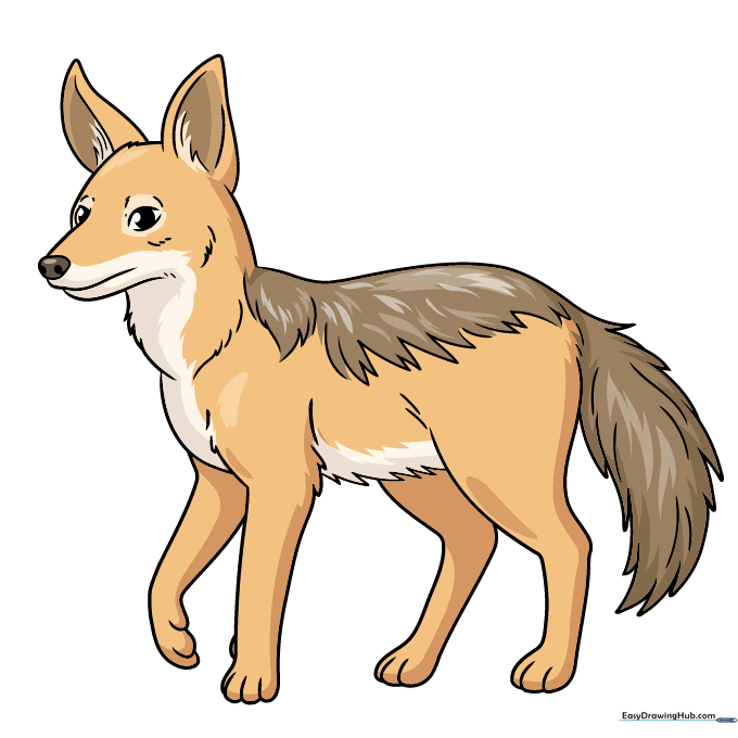 A fully colored, cartoon-style jackal with tan fur and dark back markings.
