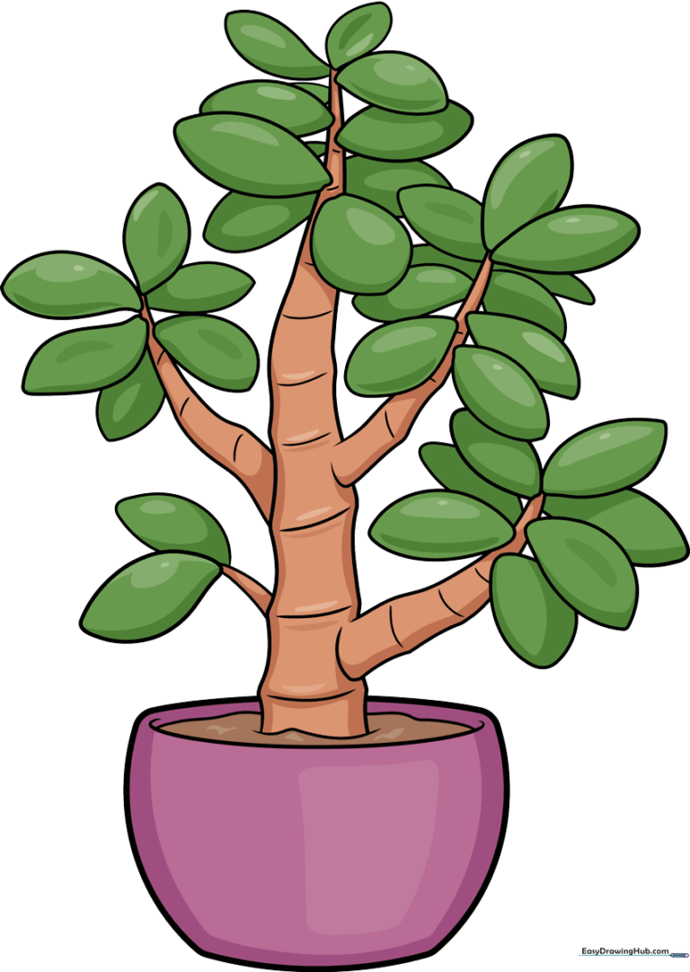 A colorful, finished drawing of a potted jade plant.