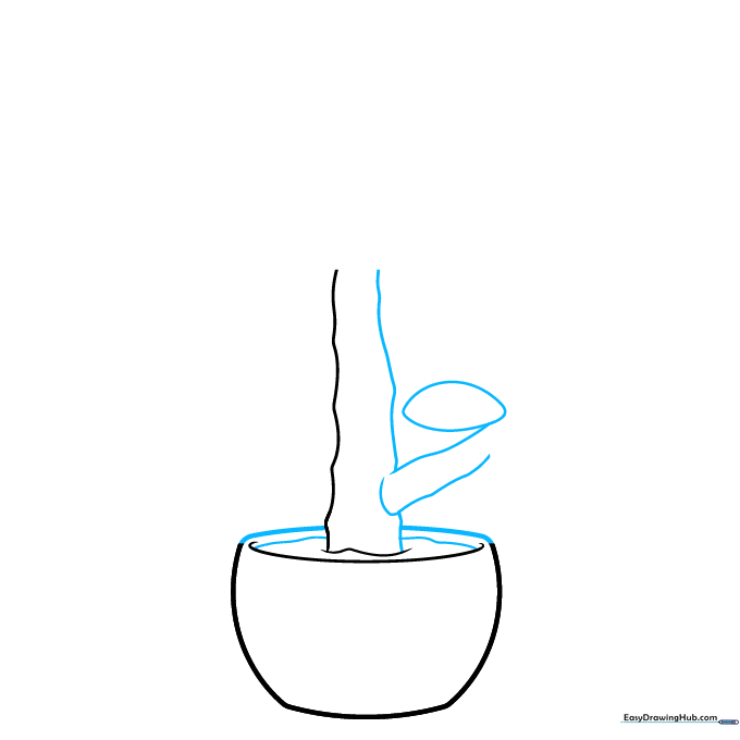 Drawing the rim of the pot and a single oval leaf attached to the main stem.