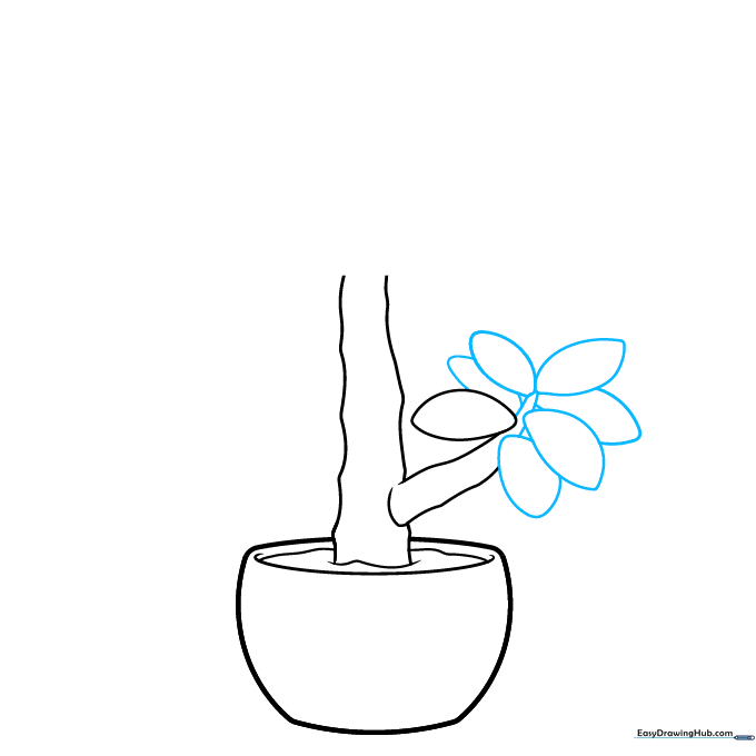 Adding multiple oval-shaped leaves to the plant stem to create a cluster effect.