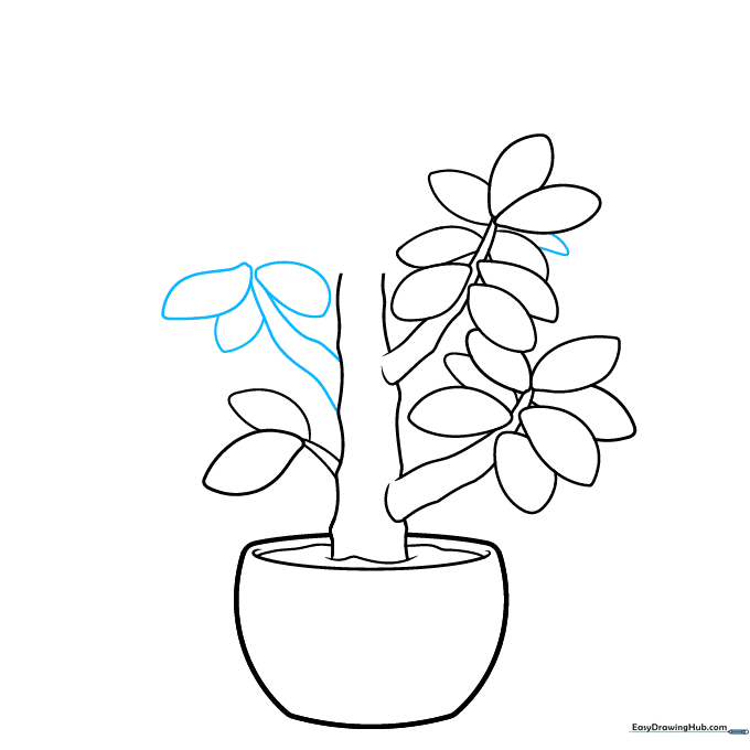 Drawing an additional branch on the side of the main trunk with new leaf shapes.